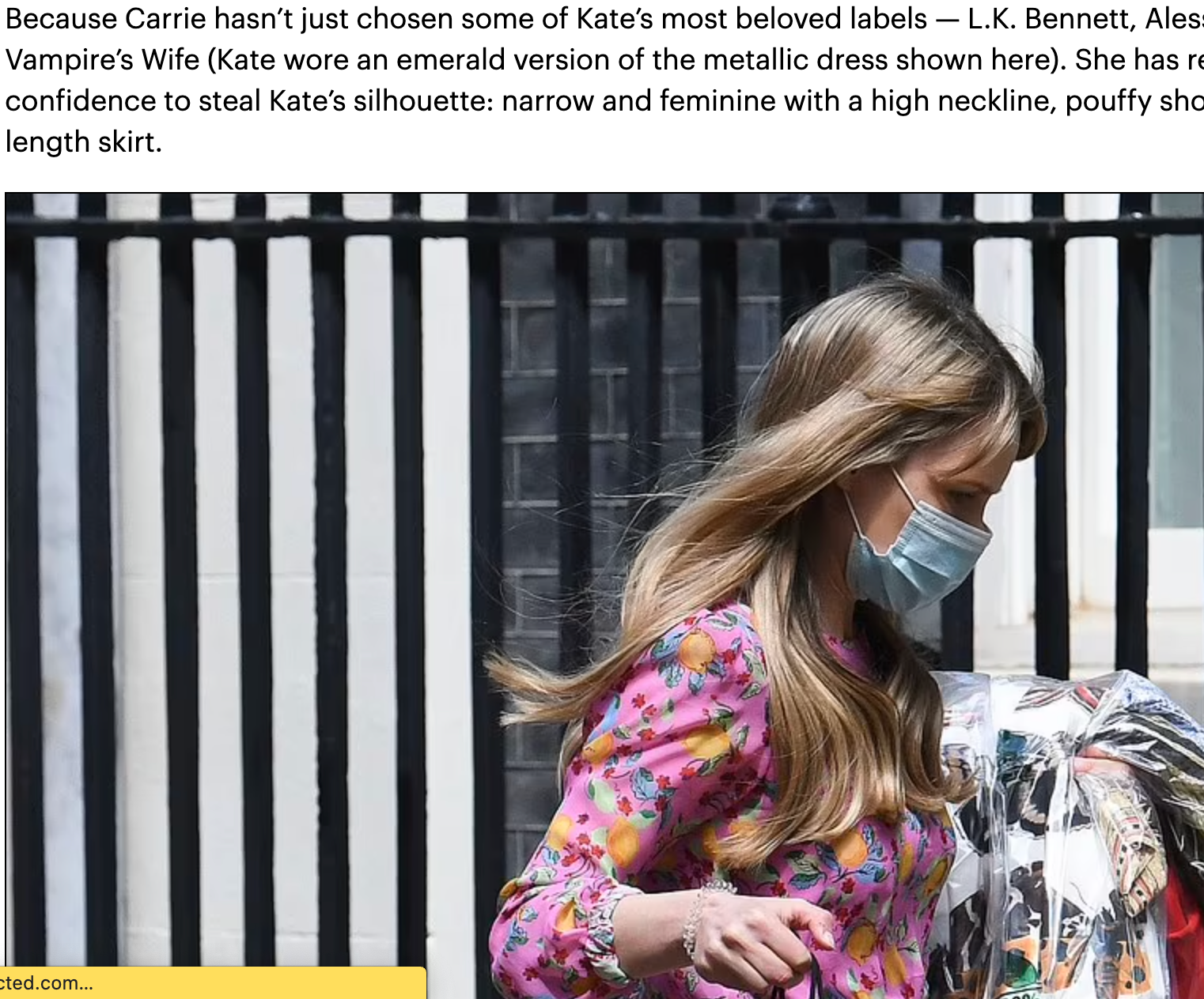 Mrs Bojo's G7 hire power - By Liz Jones, Daily Mail